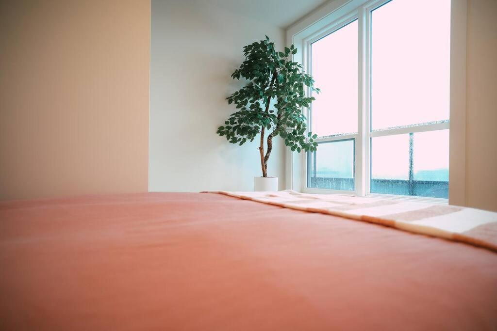 Chic Cozy Retreat - 2Br - Stunning North End Views Διαμέρισμα Χάλιφαξ Εξωτερικό φωτογραφία